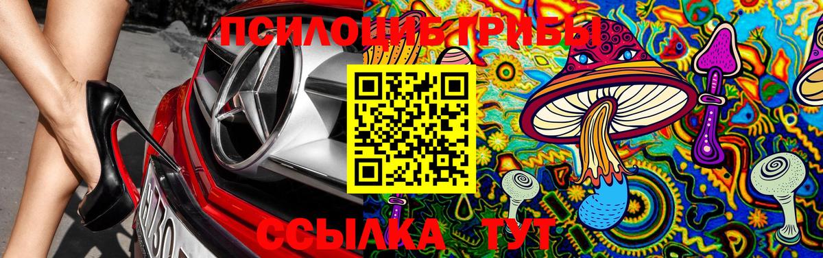 Галлюциногенные грибы GOLDEN TEACHER Ялуторовск